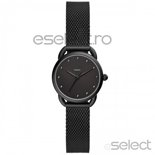 Ceas FOSSIL ES4489