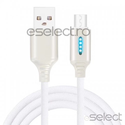 Cablu de date si incarcare tip USB-C 1m 13009CBL-argintiu