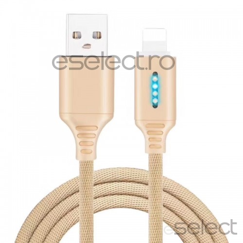 Cablu de date si incarcare tip USB-C 1m 13009CBL-auriu