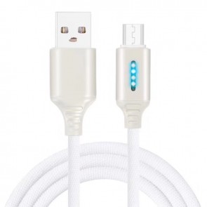 Cablu de date si incarcare tip USB-C 1m 13009CBL-argintiu