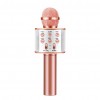 Microfon Karaoke Wireless Bluetooth 6023MIC-rose