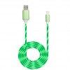 Cablu de date si incarcare iluminat led pentru Apple 1m 13012CBL-verde
